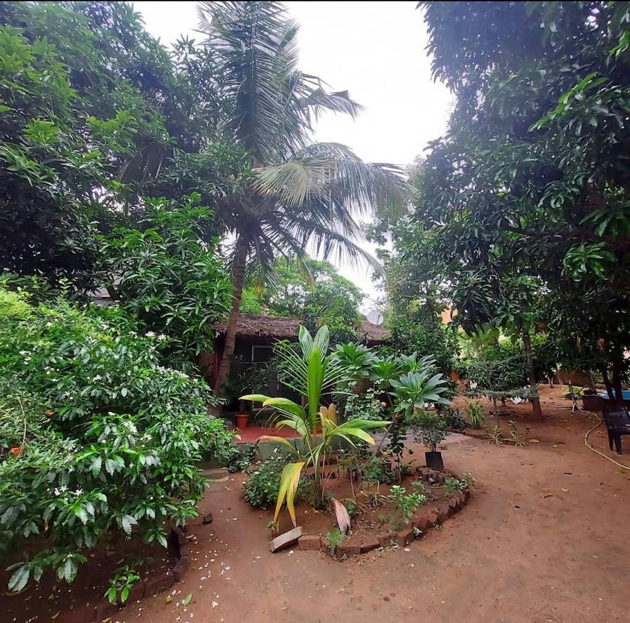 Lotus Riya Home Stay Hampi Zewnętrze zdjęcie
